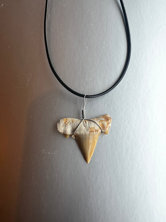 Shark Tooth Necklace
