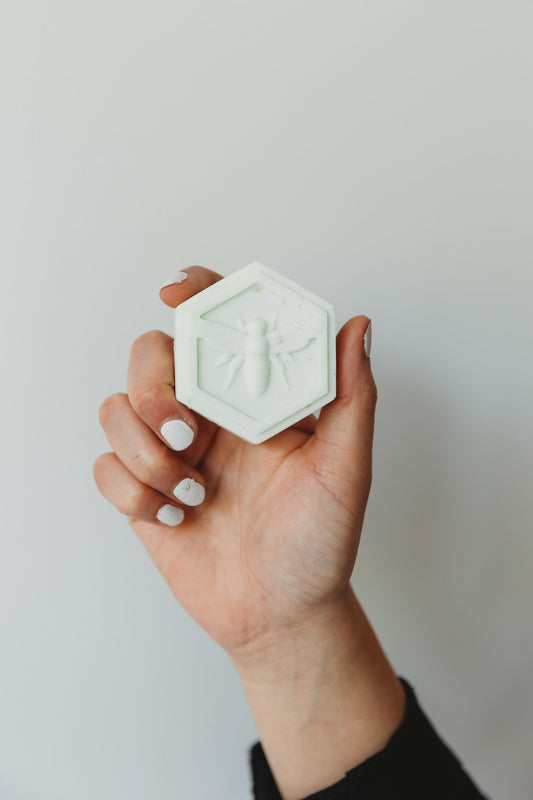 Healing Soap (pack of 2)