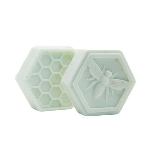 Healing Soap (pack of 2)